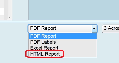 screen capture shows the HTML option for reporting