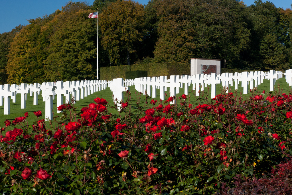 white crosses in a green field with a USA flag flying way in the back and red roses flowers in the forefront.