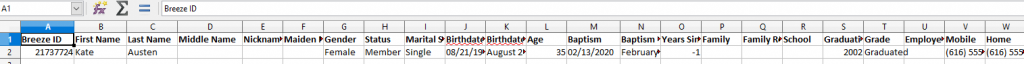 breeze export results Breeze export output to Excel. Shows a lot of data that was not asked for in Excel.