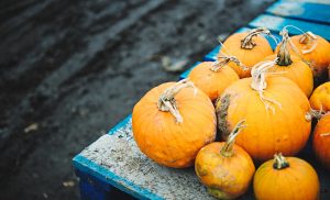 corner of a table full of pumpkins outside