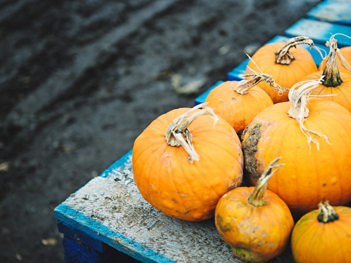 corner of a table full of pumpkins outside