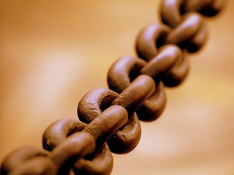 API's are the link between your database and other applications.