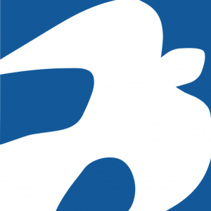 Icon Systems, Inc. Logo
