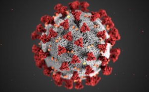 Molecule of the coronavirus that shows the spikes on the outside