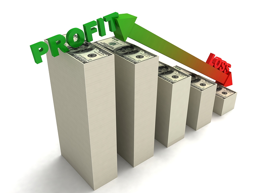 Profit and loss chart showing a business model that is different than a nonprofit's model.
