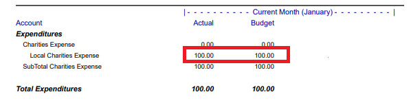 Screen capture of the budget showing the actual and budget column. Both have $100.00 showing the failure of church budgets.