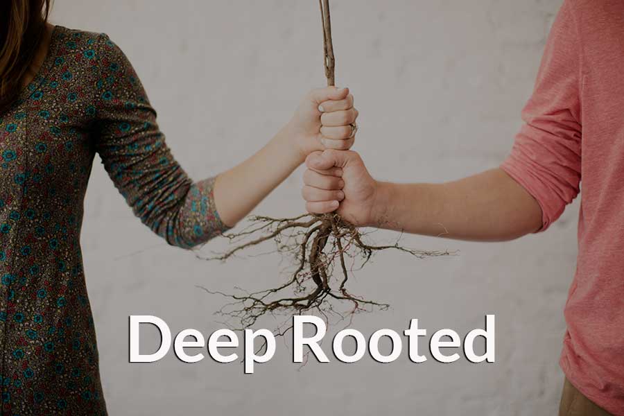 Two people holding the roots of a tree to demonstrate deep roots.